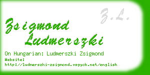 zsigmond ludmerszki business card